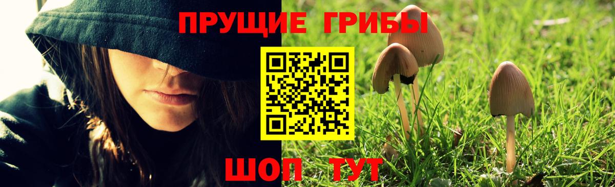 Псилоцибиновые грибы Magic Shrooms  Галлюциногенные грибы Cubensis  Вход с VPN  Минеральные Воды 